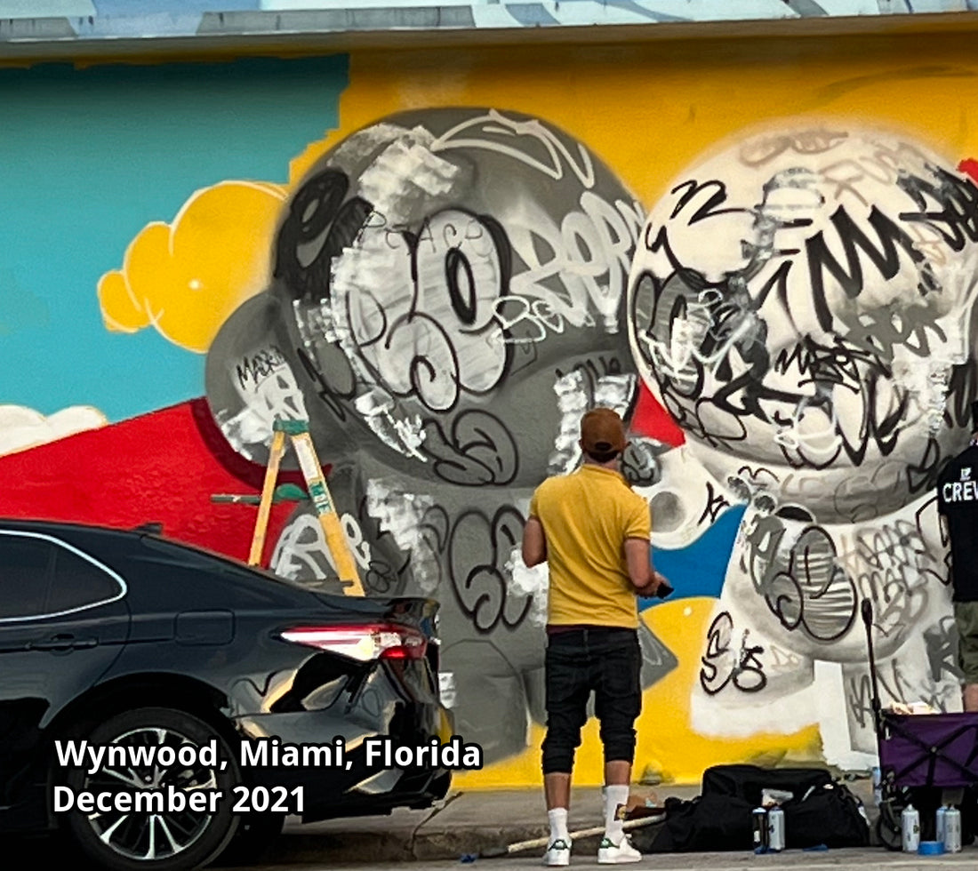 Exploring-the-Vibrant-World-of-Street-Art-A-Guide-for-Art-Lovers| Shop name